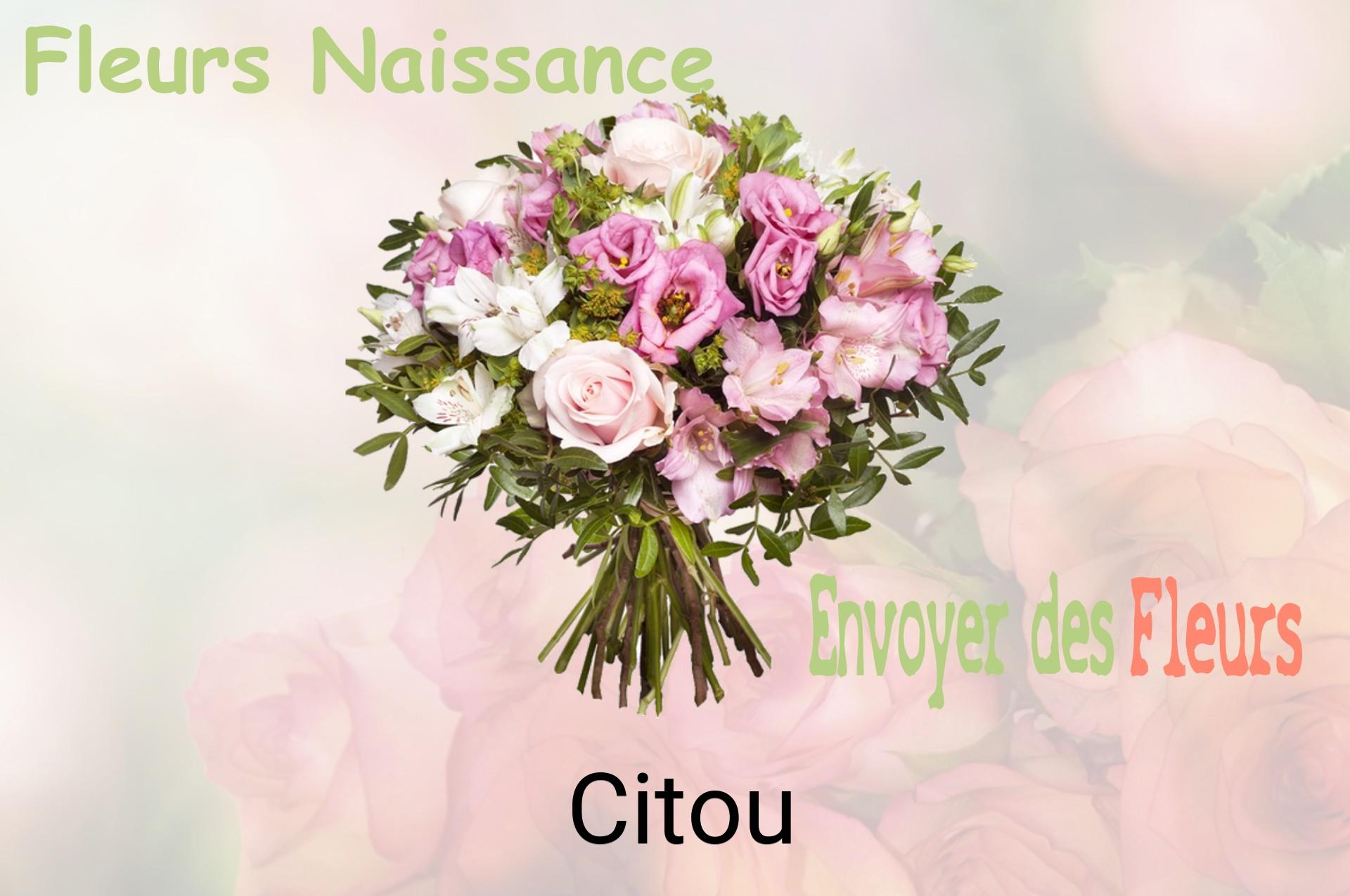 Bouquet de fleurs de naissance livré à Citou